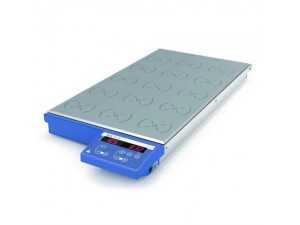 IKA Multi-position magnetic stirrer RT 15