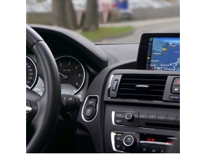 Medium Color Specialty Black BLACK PEARLS 800