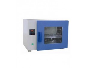 Constant-Temperature Drying Oven