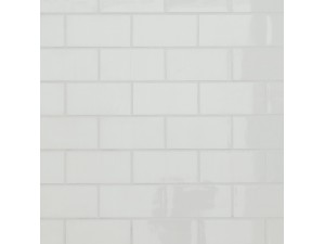 Reactive Diluent MAHA AGE 748-1 (180 KG)